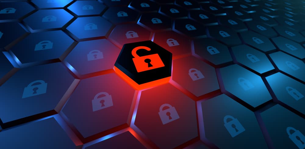 shutterstock 1973399114