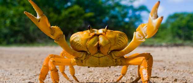 HeadCrab Botnet Targets 1,200 Redis Servers in a New Elusive Campaign - Cybersecurity news